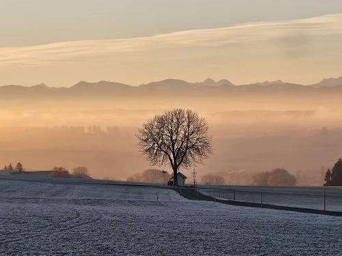 Winterstimmung im Dezember