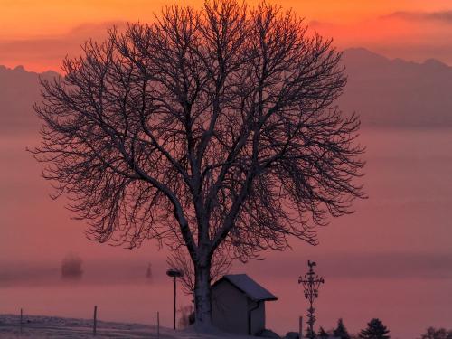 Aussicht Januar 2026