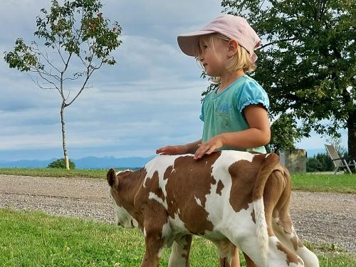 Kälbchen-Freundschaft