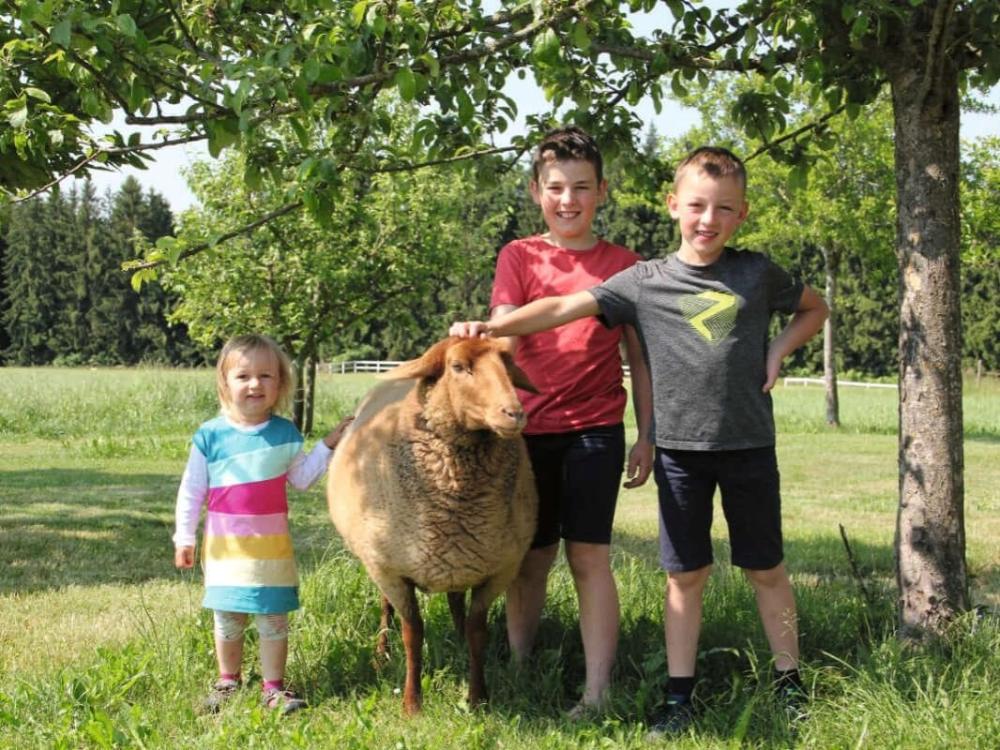 Allgäu Bergferienhof Rösch Allgäu Bergferienhof Rösch