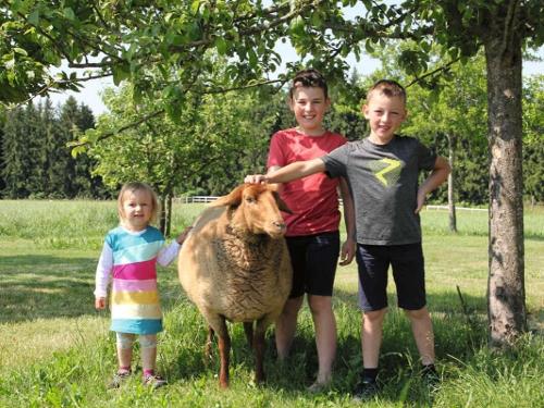 Allgäu Bergferienhof Rösch Allgäu Bergferienhof Rösch