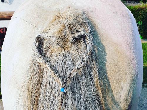 Wir freuen uns auf Euch!