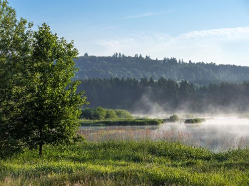 Der Jungferweiher in Ulmen - nur fünf Autominuten entfernt. Der Jungferweiher in Ulmen - nur fünf Autominuten entfernt.