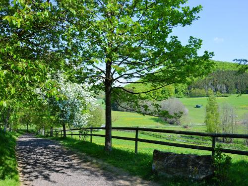 Der Pfauenweg im Frühjahr. Der Pfauenweg im Frühjahr.