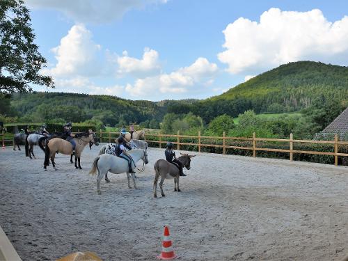 Reiten in der Abteilung auf unserem Panoramareitplatz. Reiten in der Abteilung auf unserem Panoramareitplatz.