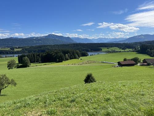 Seeblick