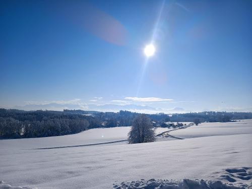 Winterlandschaft