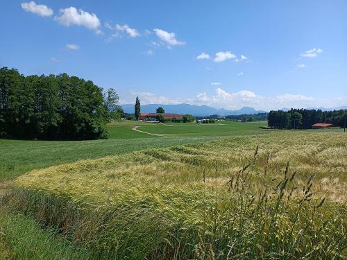 Aussicht auf Knoglerhof