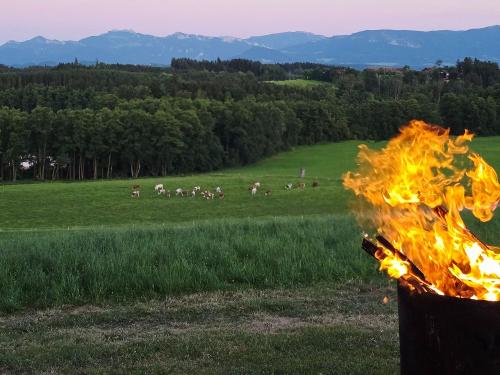 Feuerschale