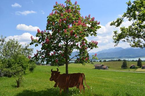 Frühling - Blühende Kastanie
