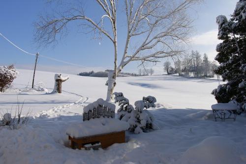 winter4
