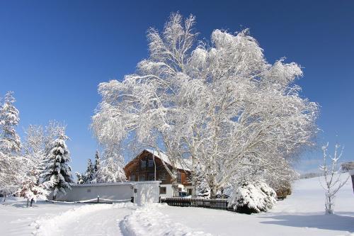 winter3