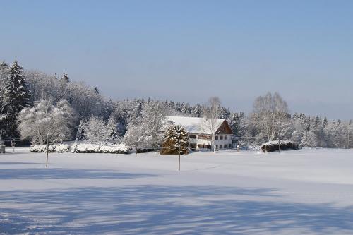 winter2
