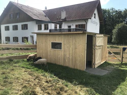 derstallfrunsereschafeundziegen1