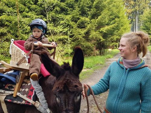 Geführtes Esel reiten