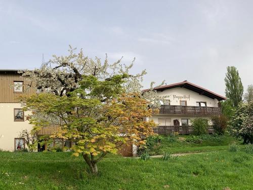 Pappelhof - Bad Bellingen