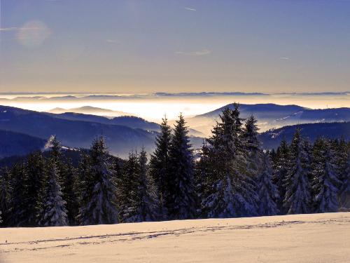skitour_feldberg_hinterwald
