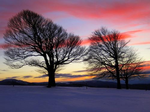 Winterabend