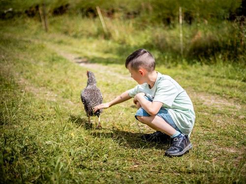 Sonnerhof_Huhn Louis seine Leidenschaft -