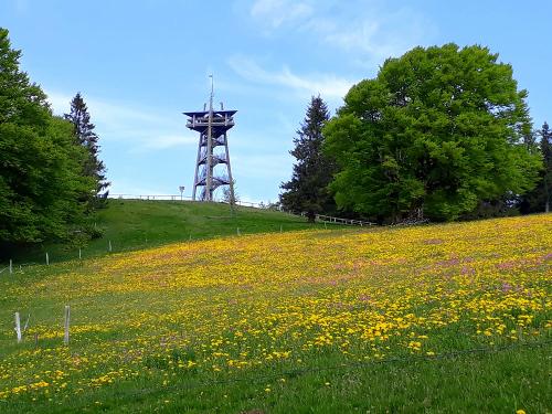 Schauinslandturm mit Wiese vom Hof aus zu sehen