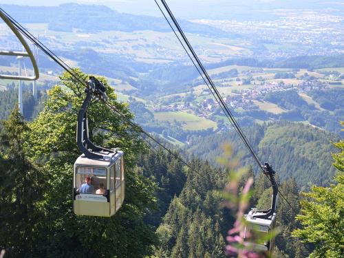 gondelbahnamschauinslandeintollerausflug