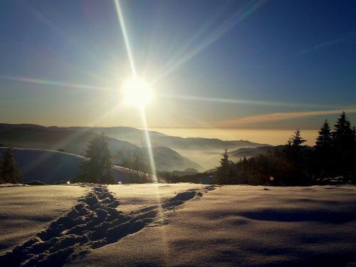 winterwanderung