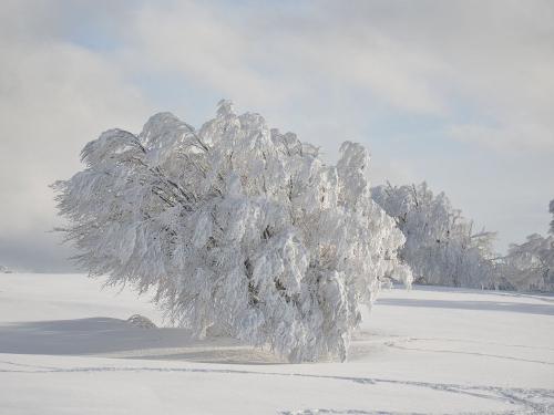 winterlandschaft