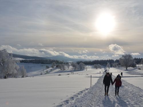 winterwanderungimpanorama winterwanderungimpanorama