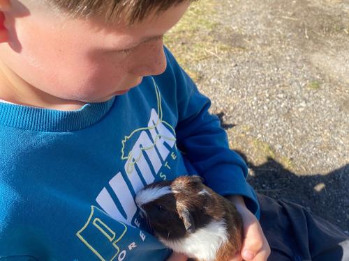 Wie so kleine Tiere die Kinder entspannen lassen und wieder erden? Wie so kleine Tiere die Kinder entspannen lassen und wieder erden?