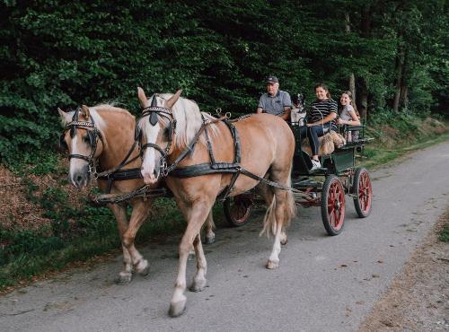 Kutschfahrt mit Opa Herbert