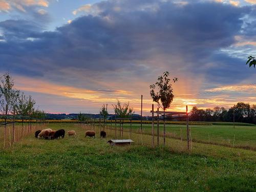 Sonnenuntergang