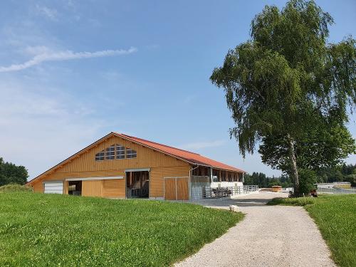 Neuer Wohlfühlstall für unsere Kühe