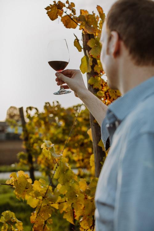 Weingut_Becker