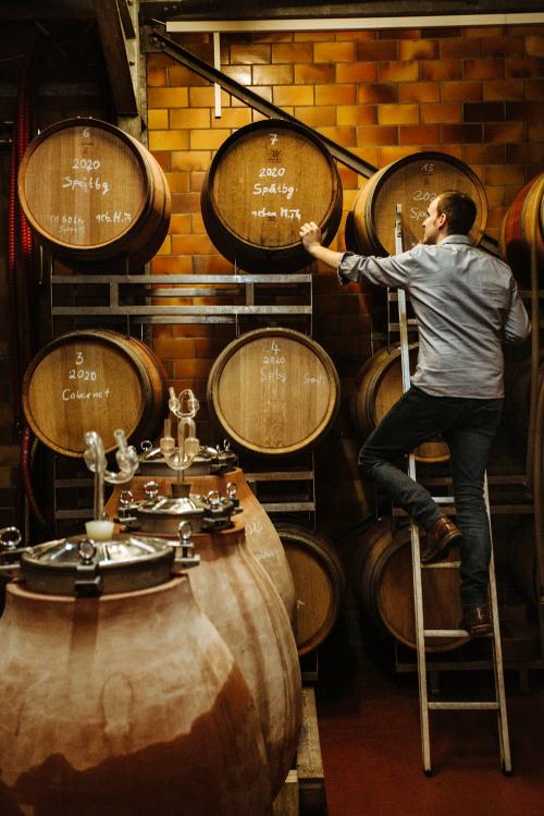 Weingut_Becker_Weinkeller