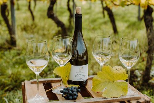 Weingut_Becker