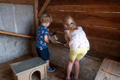 hauserhof-sommer-abend-high-17