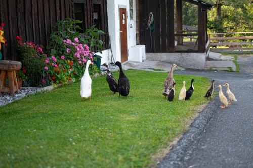 hauserhof-sommer-abend-high