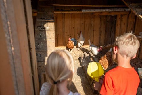 hauserhof-sommer-abend-high-18