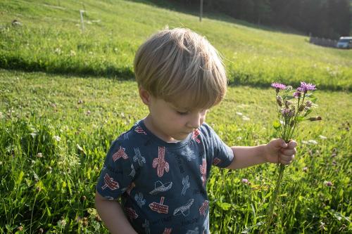 hauserhof-sommer-abend-high-52