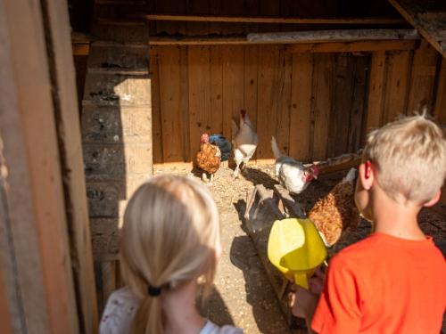 hauserhof-sommer-abend-high-18