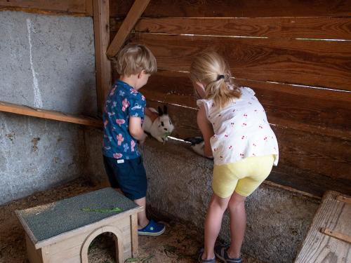hauserhof-sommer-abend-high-17