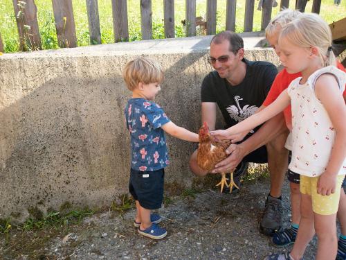 hauserhof-sommer-abend-high-19