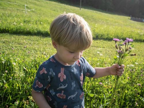 hauserhof-sommer-abend-high-52