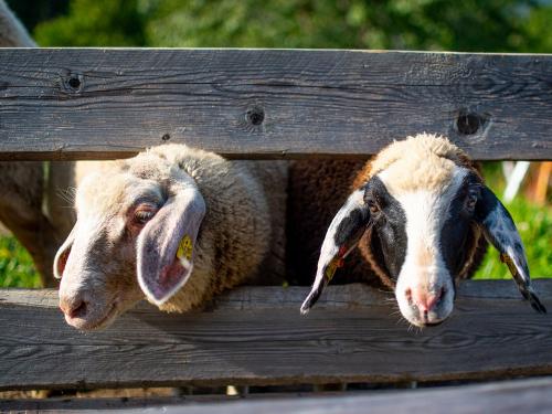 hauserhof-sommer-abend-high-2