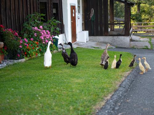 hauserhof-sommer-abend-high