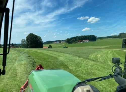 imsommerbeimgrasmhen