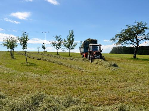 Landluft Ferien - Umgebung