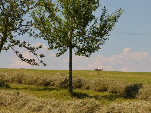 Landluft Ferien - Umgebung