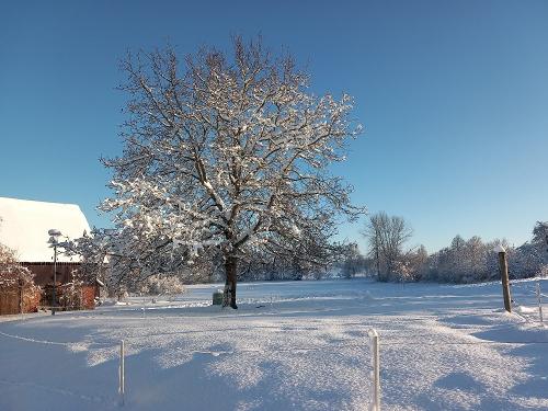 Landluft Ferien - Winterstimmung