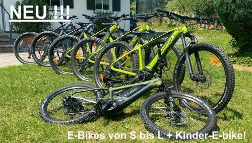 bikes